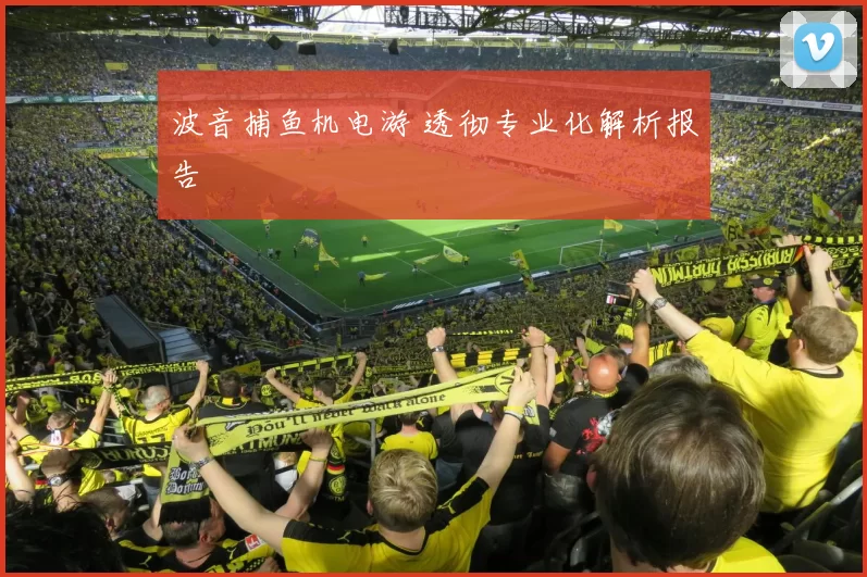 波音捕鱼机电游 透彻专业化解析报告