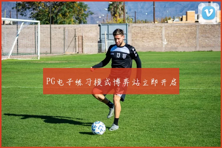 PG电子练习模式博弈站立即开启